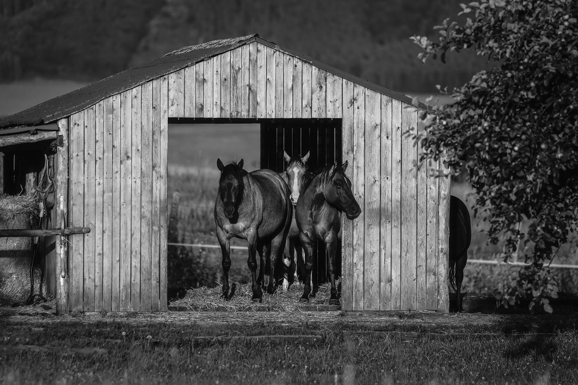Apartman Ranc Martin Exteriör bild